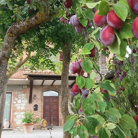 La Fenice Montepulciano Stazione