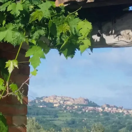 La Fenice Montepulciano Stazione