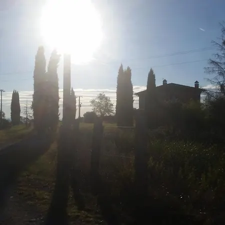 La Fenice Montepulciano Stazione